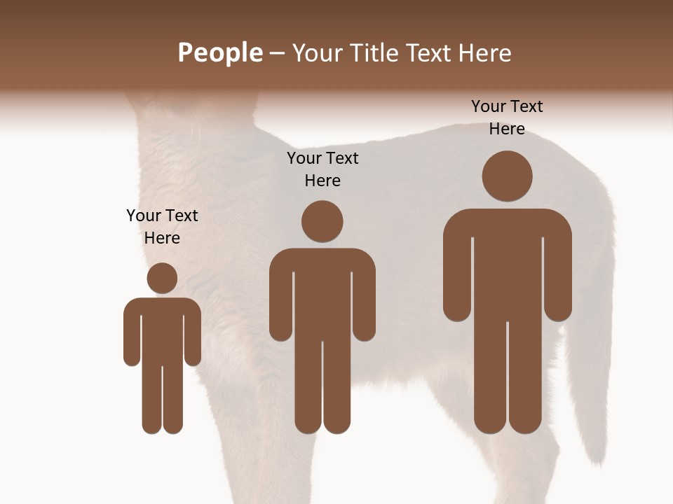 Looking Lynx Cat Ears PowerPoint Template