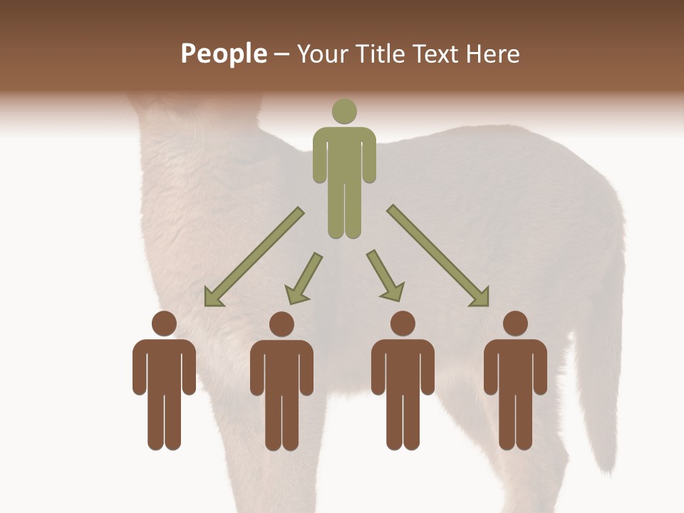 Looking Lynx Cat Ears PowerPoint Template