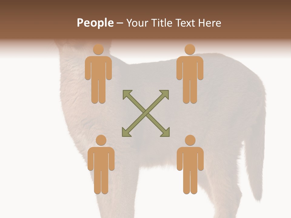 Looking Lynx Cat Ears PowerPoint Template