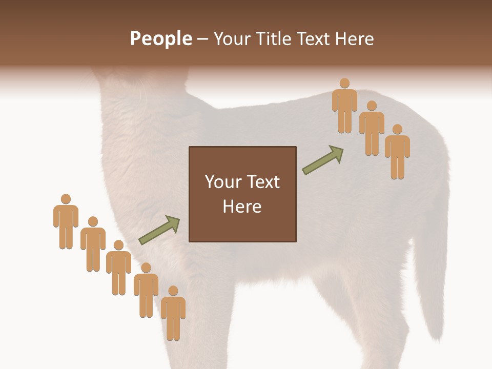 Looking Lynx Cat Ears PowerPoint Template