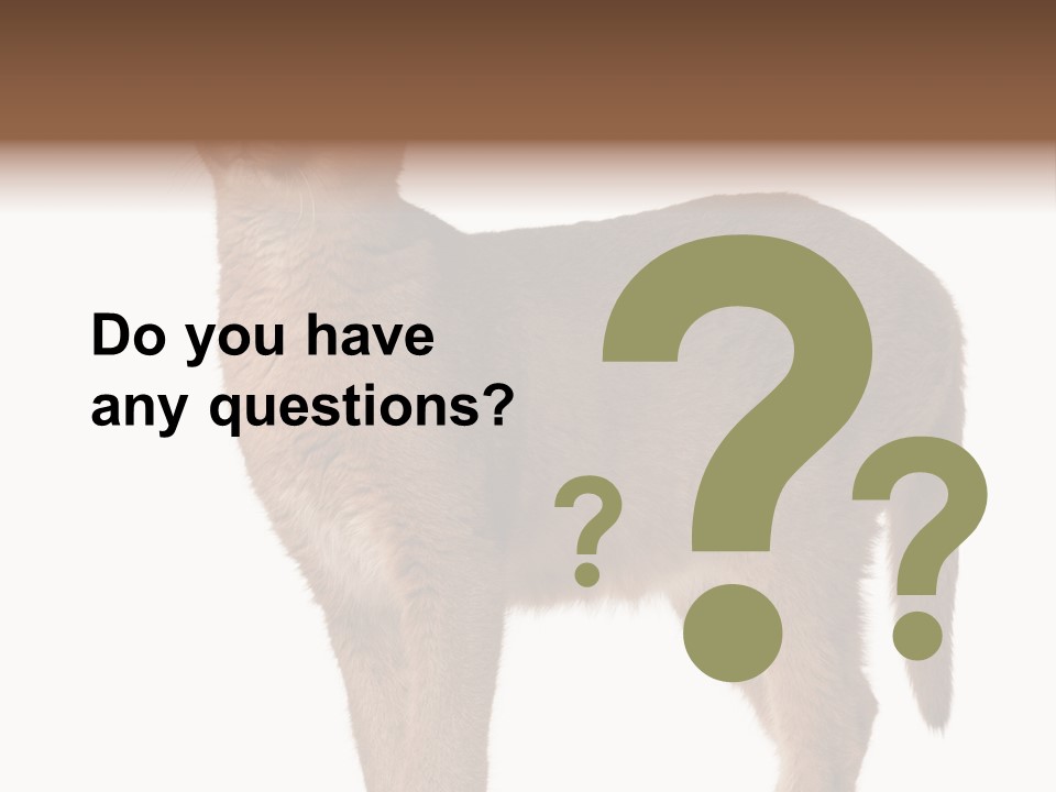 Looking Lynx Cat Ears PowerPoint Template