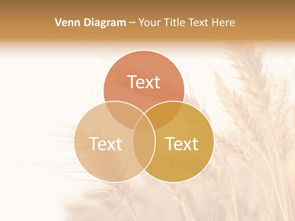 Baking Farmland Field PowerPoint Template