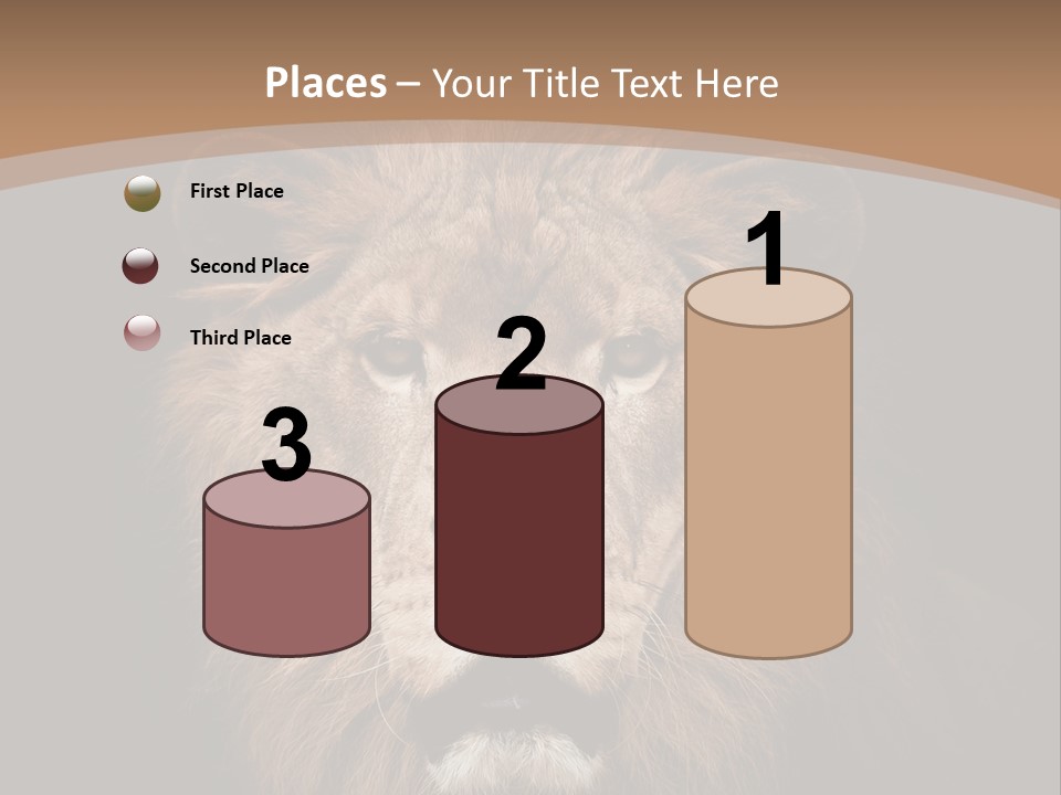 Wild Furry Closeup PowerPoint Template