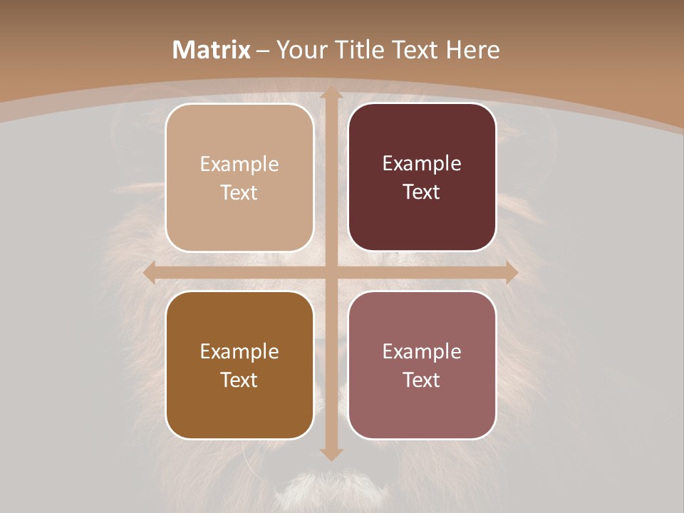 Wild Furry Closeup PowerPoint Template