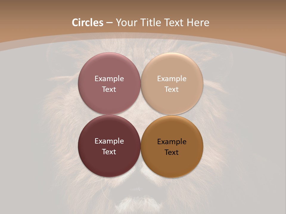 Wild Furry Closeup PowerPoint Template