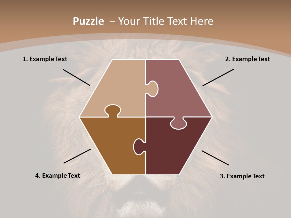 Wild Furry Closeup PowerPoint Template