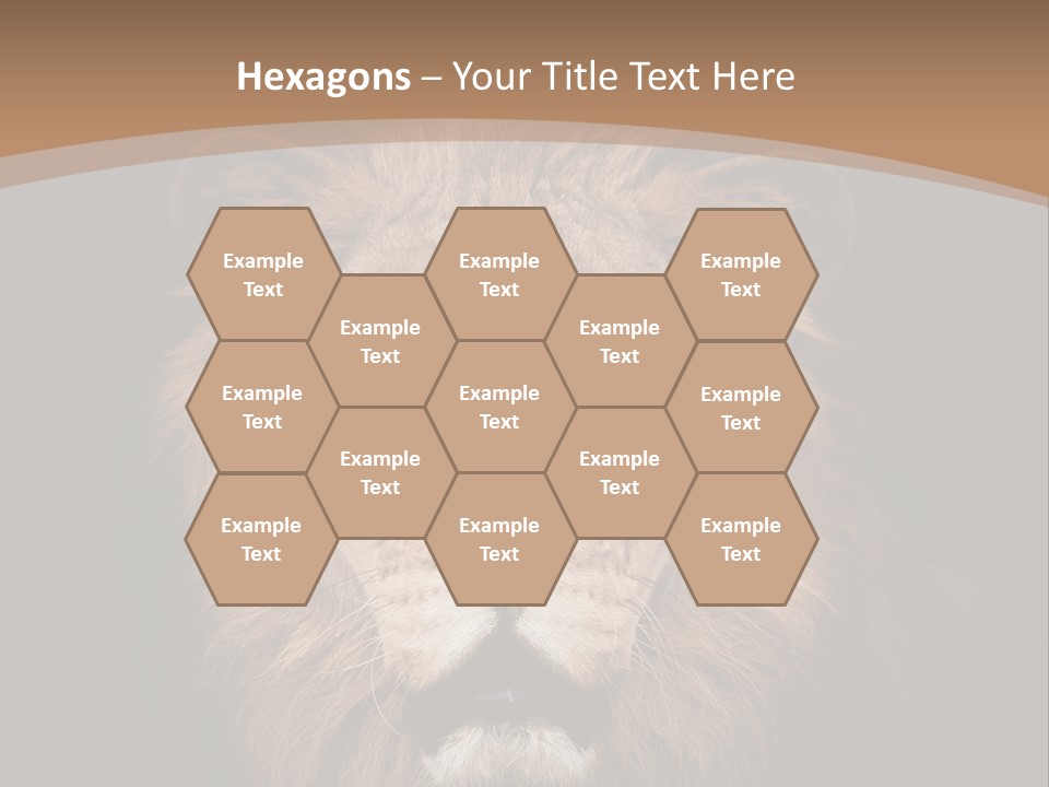 Wild Furry Closeup PowerPoint Template
