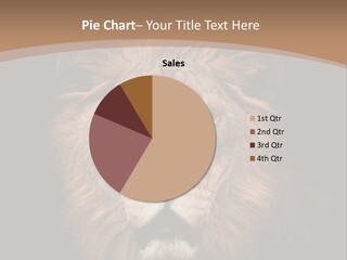 Wild Furry Closeup PowerPoint Template