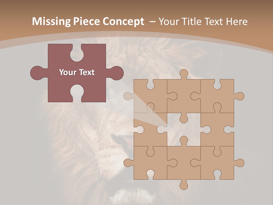 Wild Furry Closeup PowerPoint Template