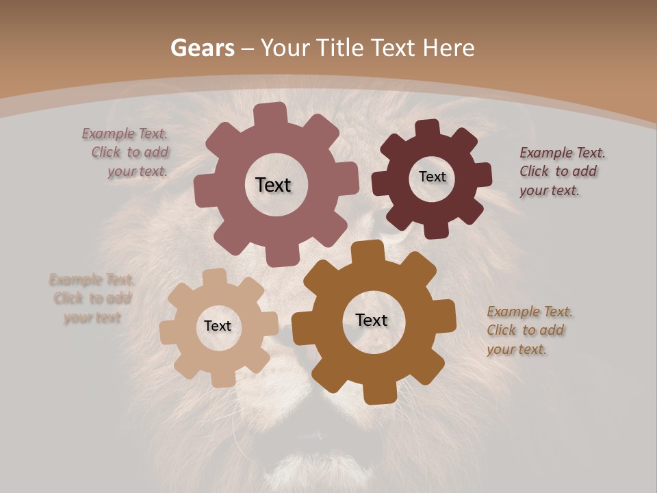 Wild Furry Closeup PowerPoint Template