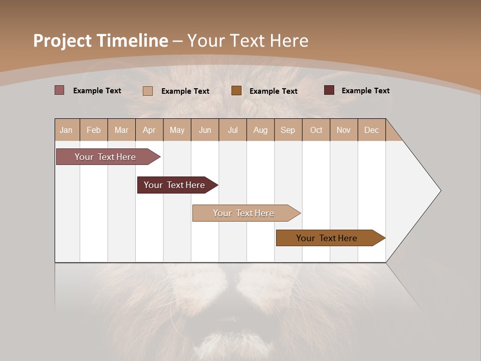 Wild Furry Closeup PowerPoint Template