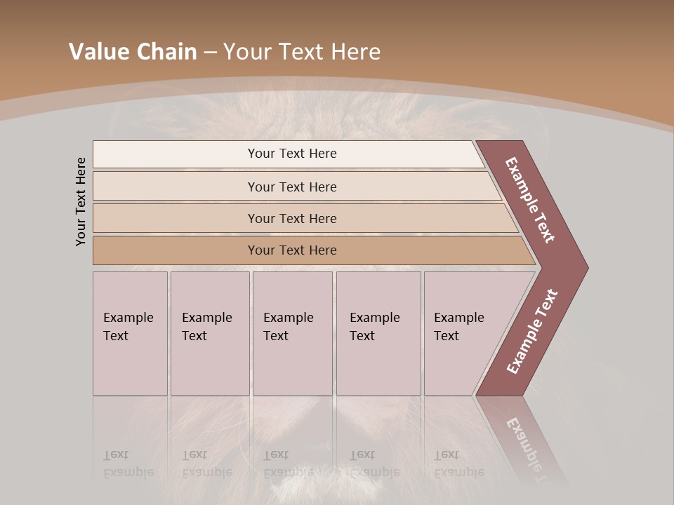 Wild Furry Closeup PowerPoint Template