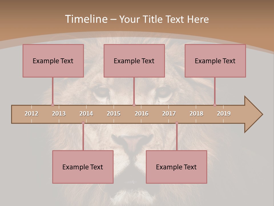 Wild Furry Closeup PowerPoint Template