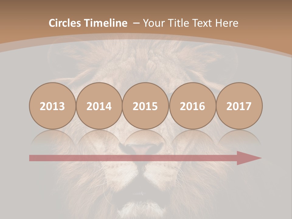 Wild Furry Closeup PowerPoint Template