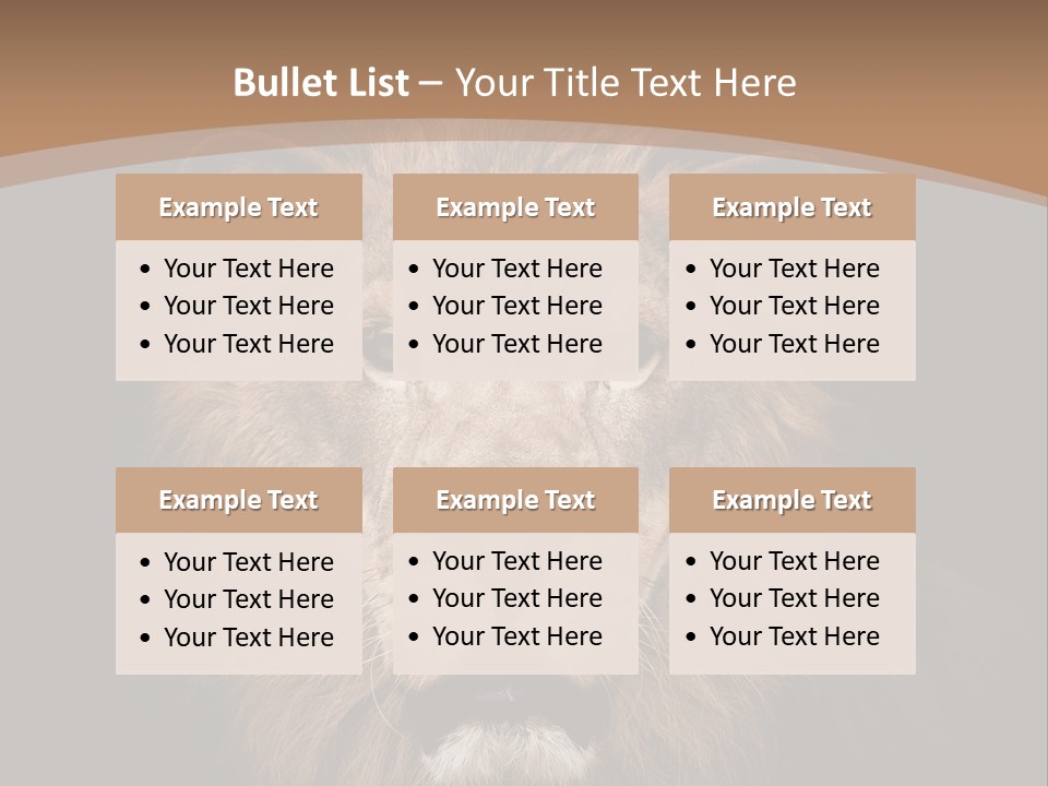 Wild Furry Closeup PowerPoint Template