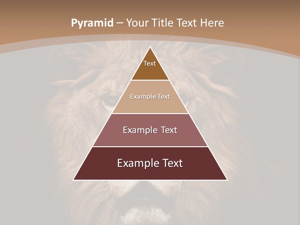 Wild Furry Closeup PowerPoint Template