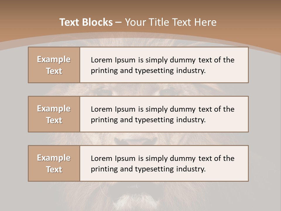 Wild Furry Closeup PowerPoint Template