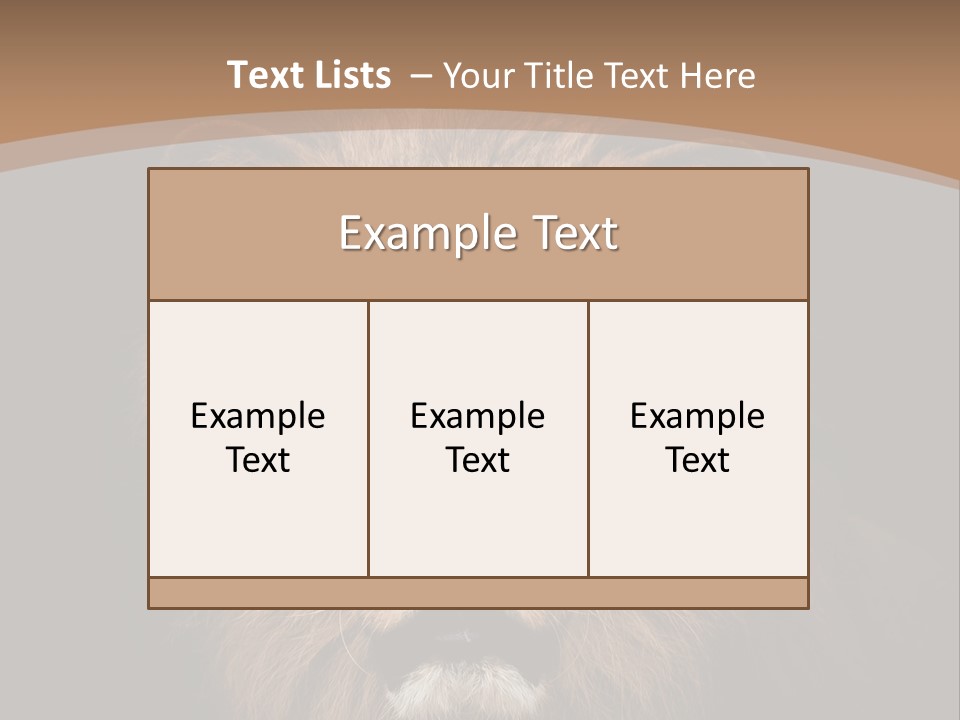 Wild Furry Closeup PowerPoint Template