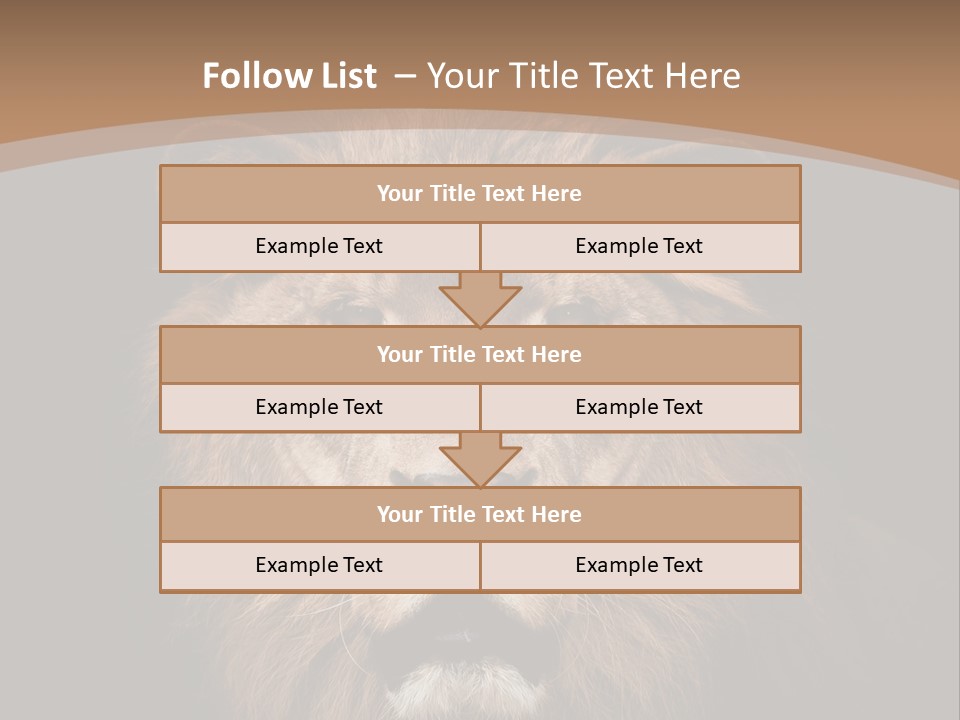 Wild Furry Closeup PowerPoint Template