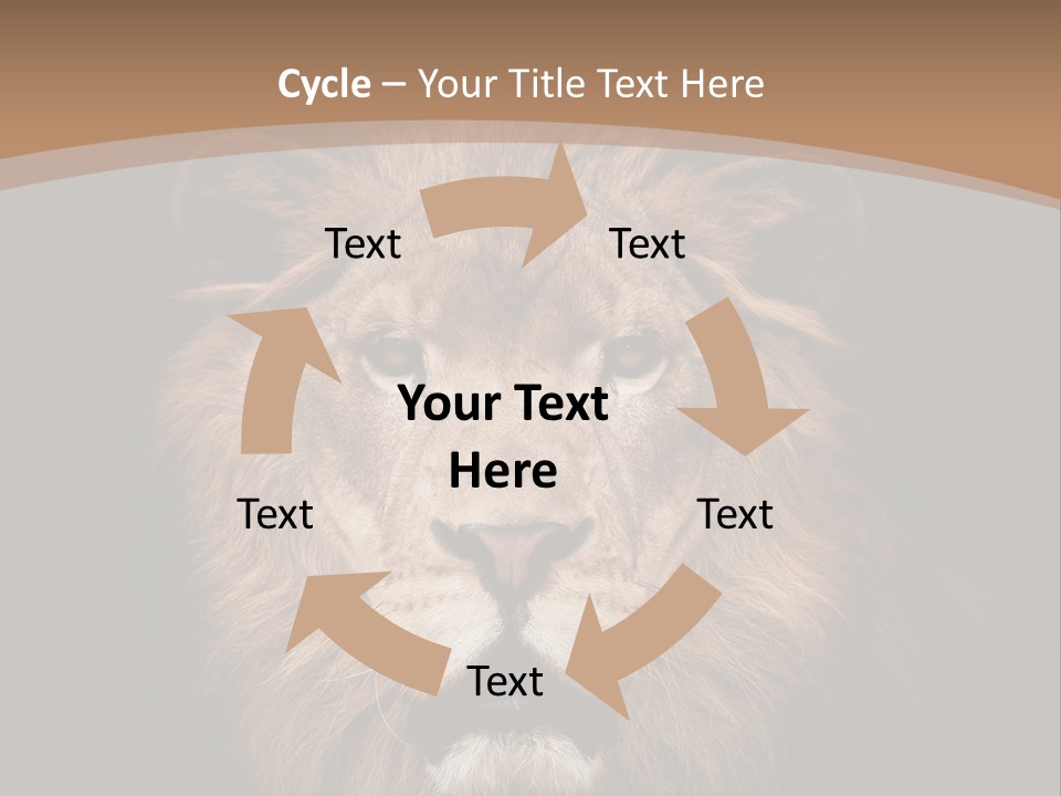 Wild Furry Closeup PowerPoint Template