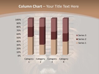 Wild Furry Closeup PowerPoint Template
