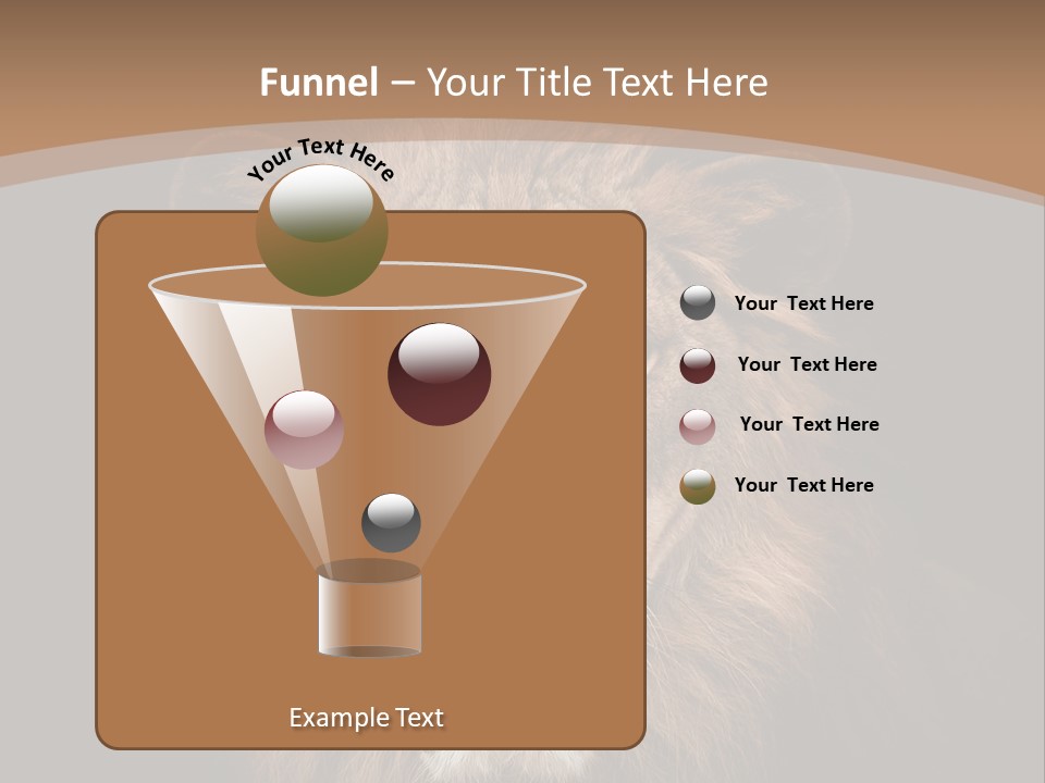 Wild Furry Closeup PowerPoint Template