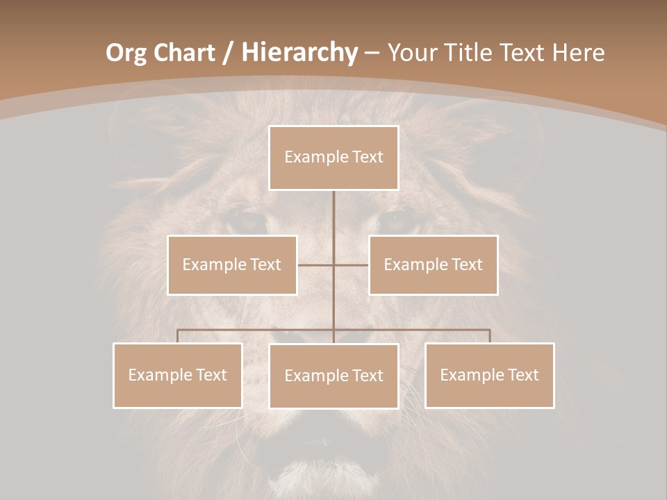 Wild Furry Closeup PowerPoint Template