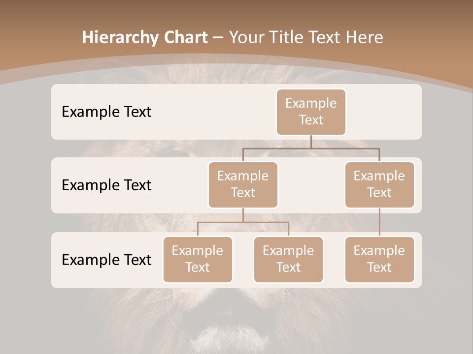 Wild Furry Closeup PowerPoint Template
