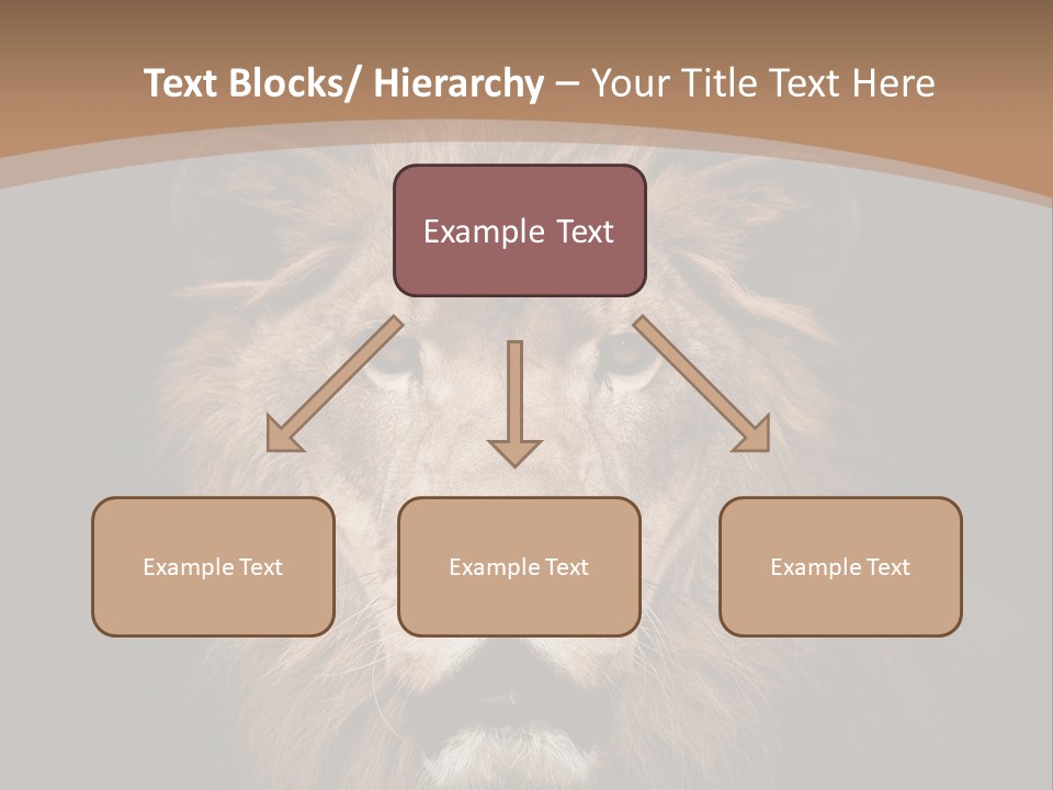 Wild Furry Closeup PowerPoint Template