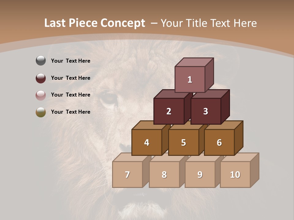 Wild Furry Closeup PowerPoint Template