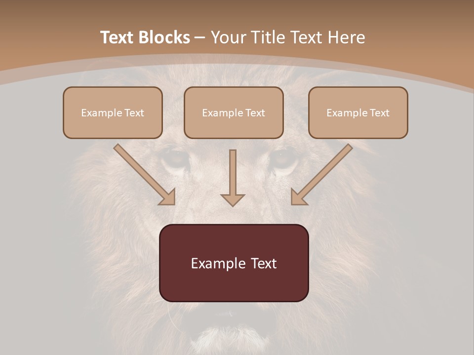 Wild Furry Closeup PowerPoint Template