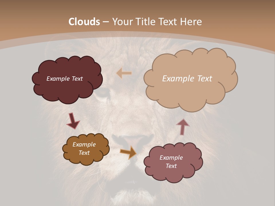 Wild Furry Closeup PowerPoint Template