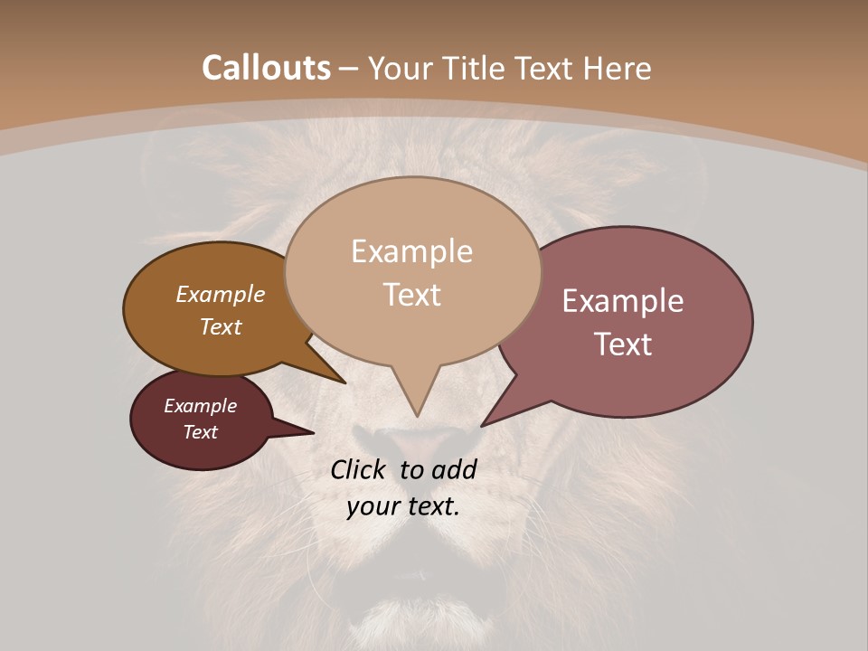 Wild Furry Closeup PowerPoint Template