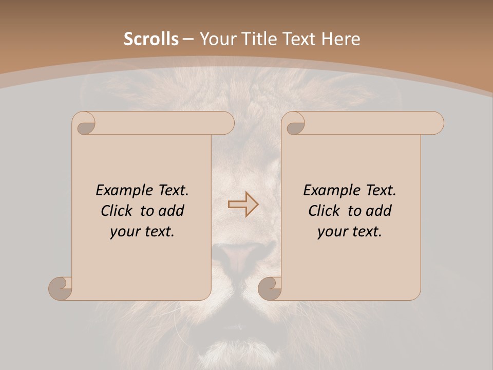 Wild Furry Closeup PowerPoint Template