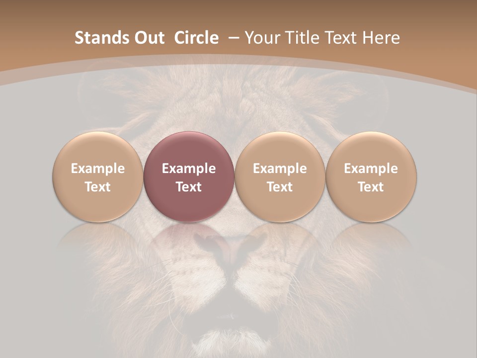 Wild Furry Closeup PowerPoint Template