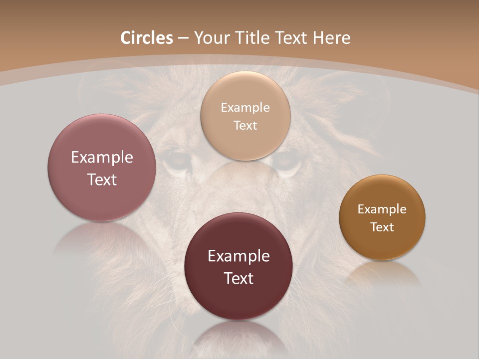 Wild Furry Closeup PowerPoint Template