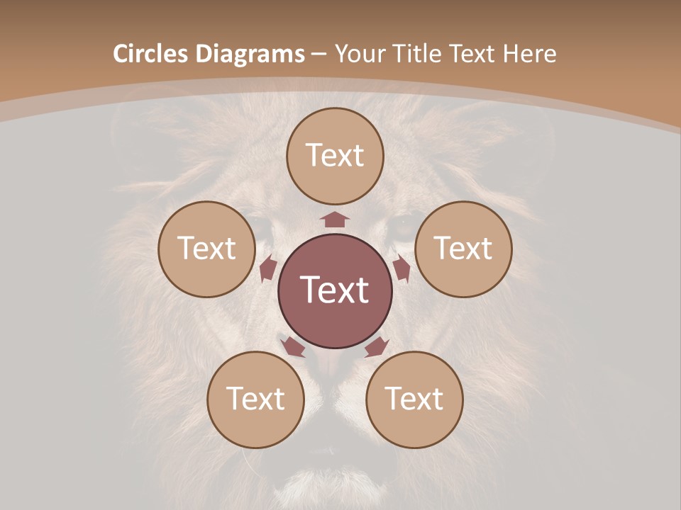 Wild Furry Closeup PowerPoint Template