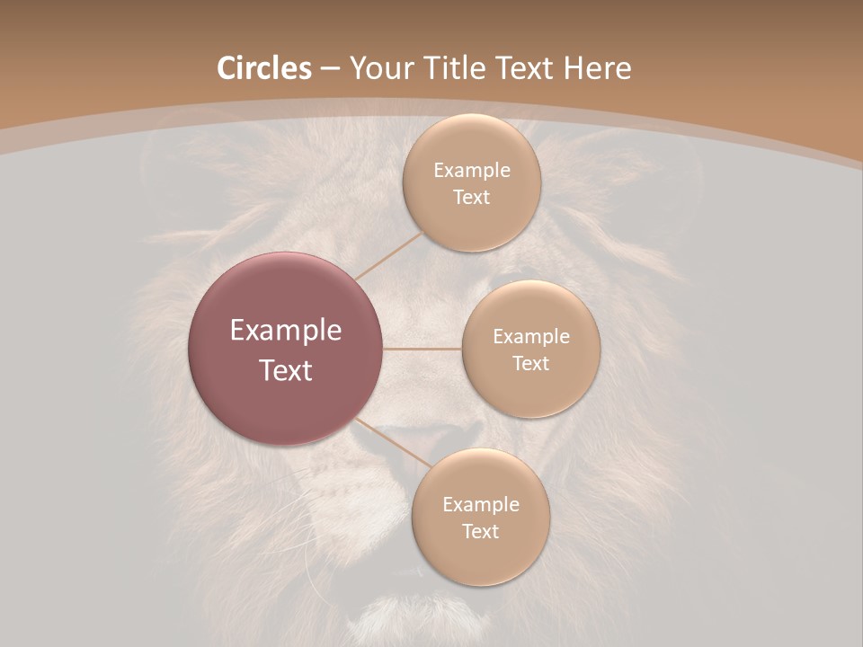 Wild Furry Closeup PowerPoint Template