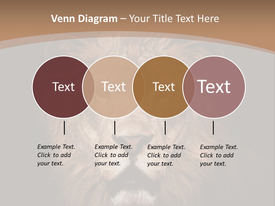Wild Furry Closeup PowerPoint Template