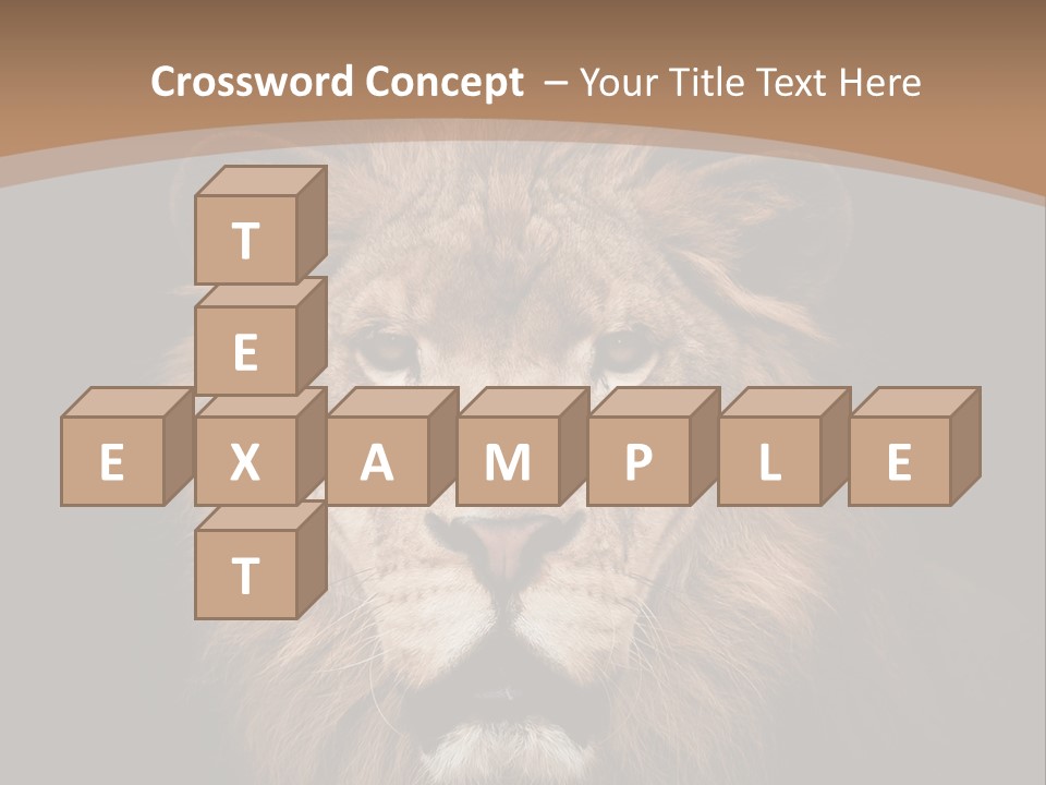 Wild Furry Closeup PowerPoint Template