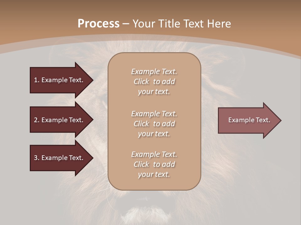 Wild Furry Closeup PowerPoint Template