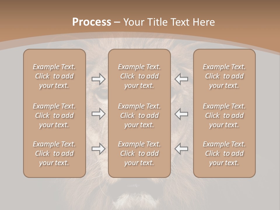 Wild Furry Closeup PowerPoint Template