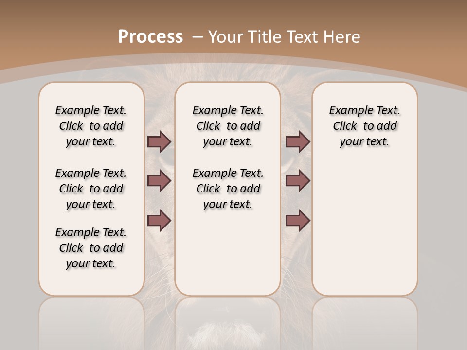 Wild Furry Closeup PowerPoint Template