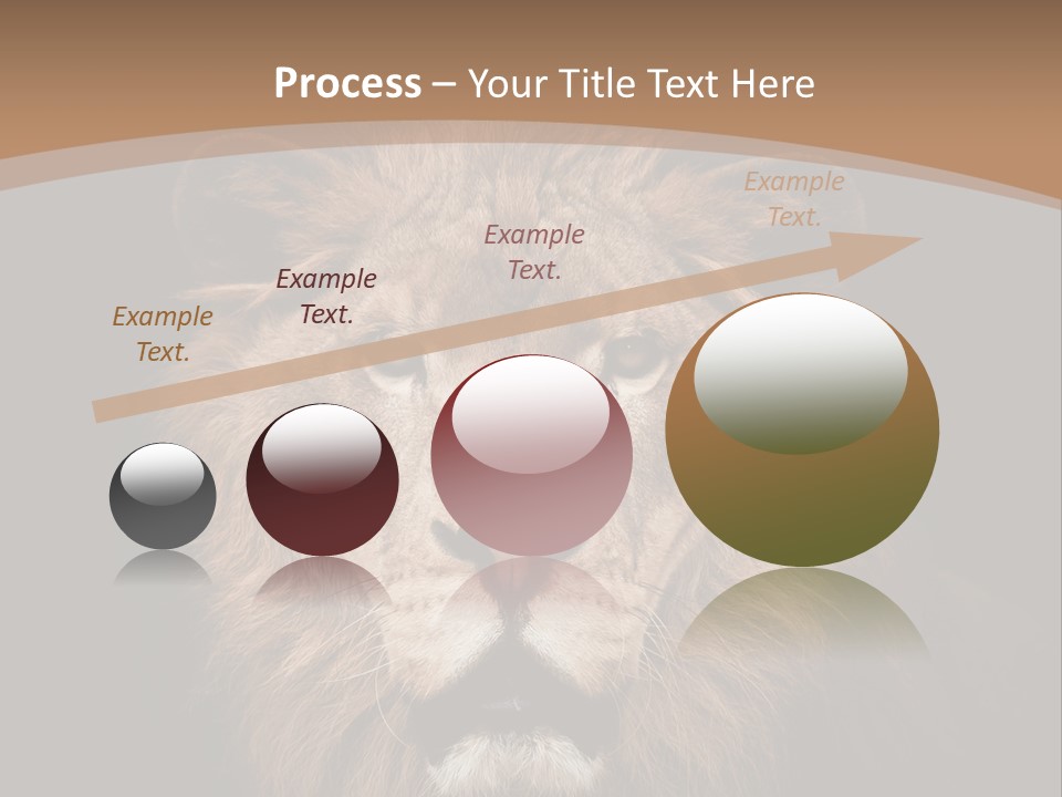 Wild Furry Closeup PowerPoint Template