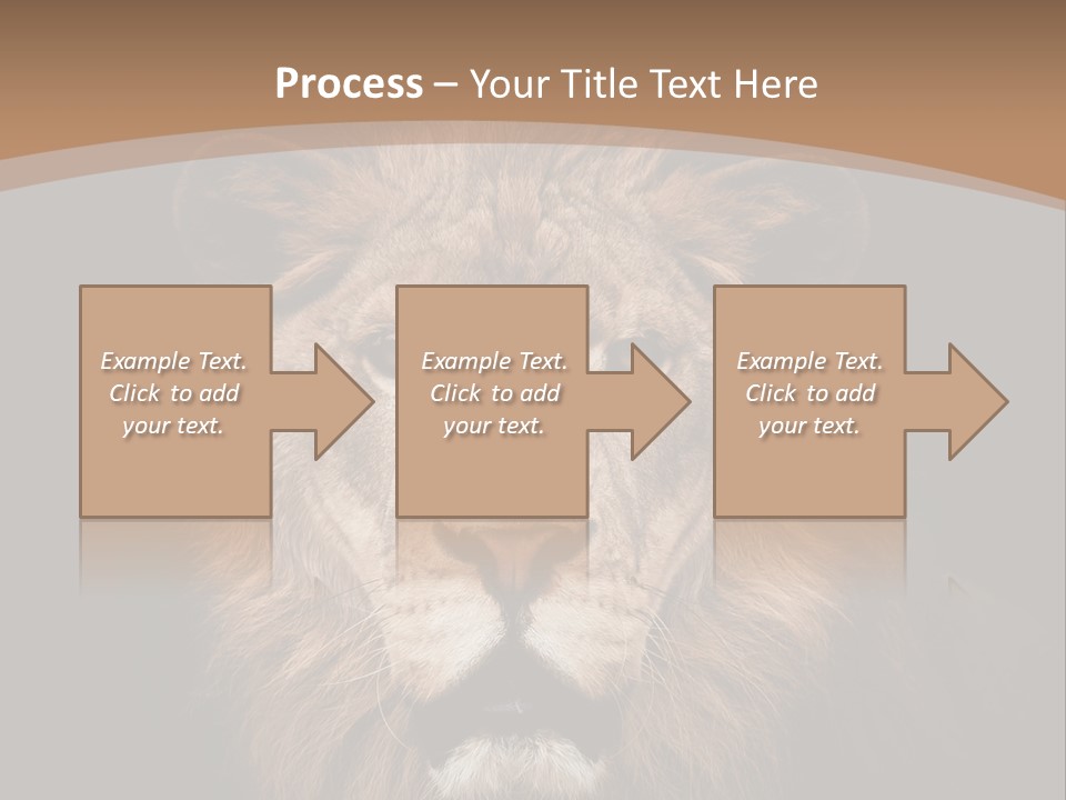 Wild Furry Closeup PowerPoint Template