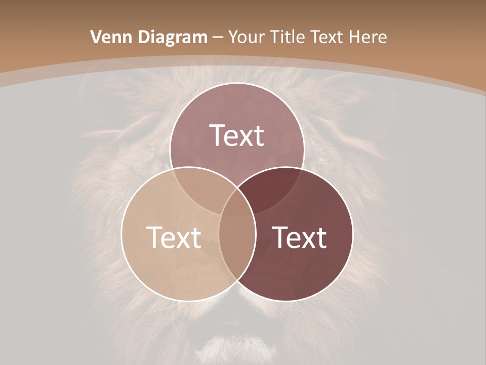 Wild Furry Closeup PowerPoint Template