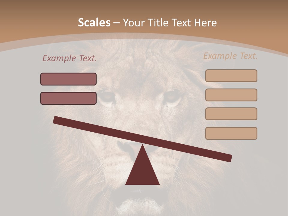 Wild Furry Closeup PowerPoint Template