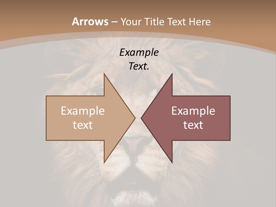Wild Furry Closeup PowerPoint Template