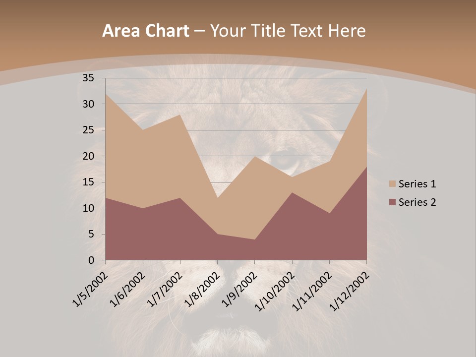 Wild Furry Closeup PowerPoint Template