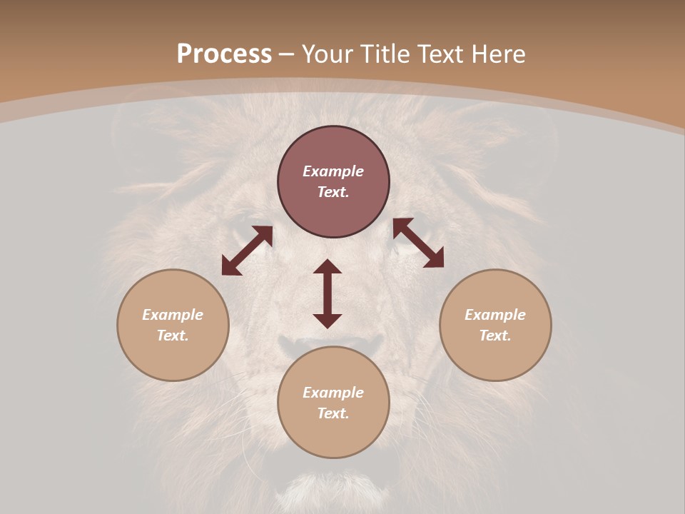 Wild Furry Closeup PowerPoint Template